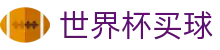 2026美加墨世界杯买球(中国)官网_官方认证入口